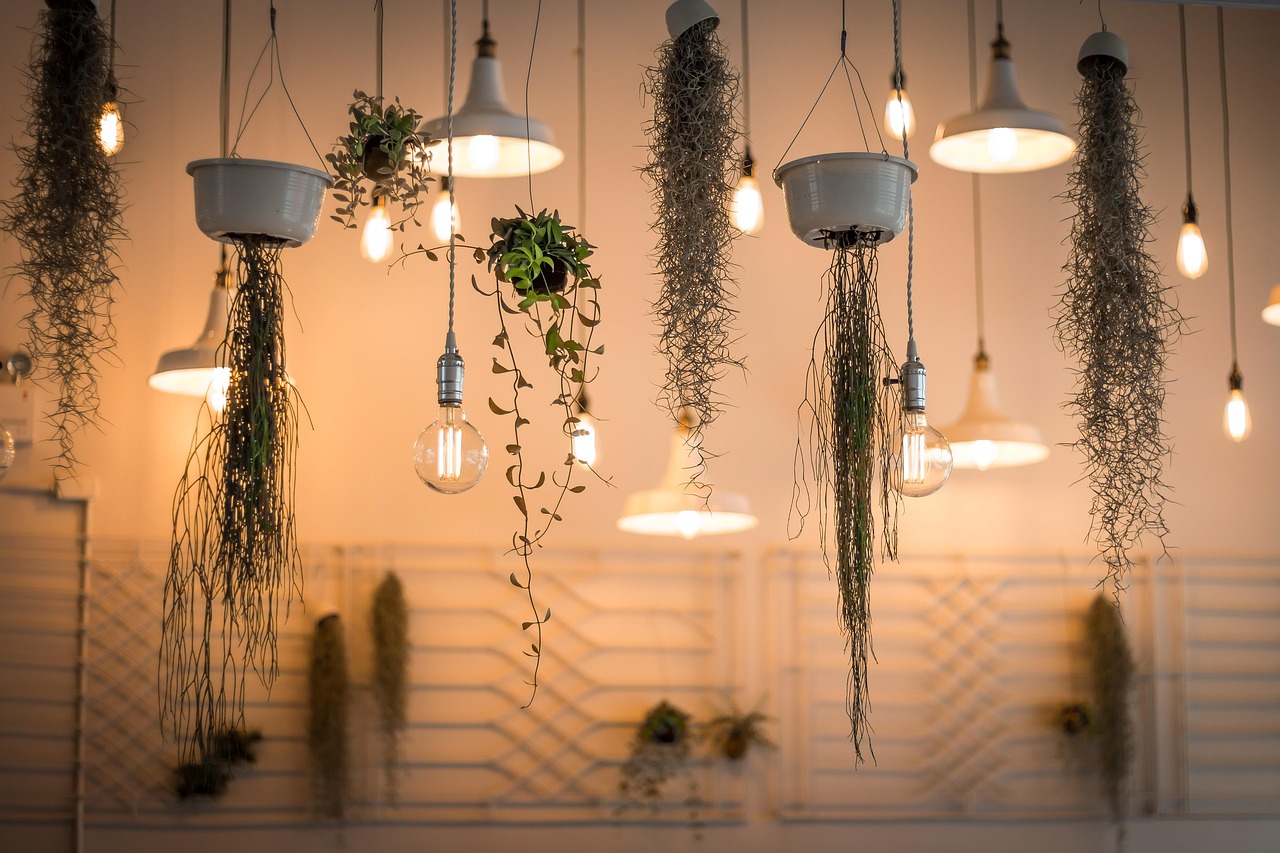 Lighting Fixtures & Accessories